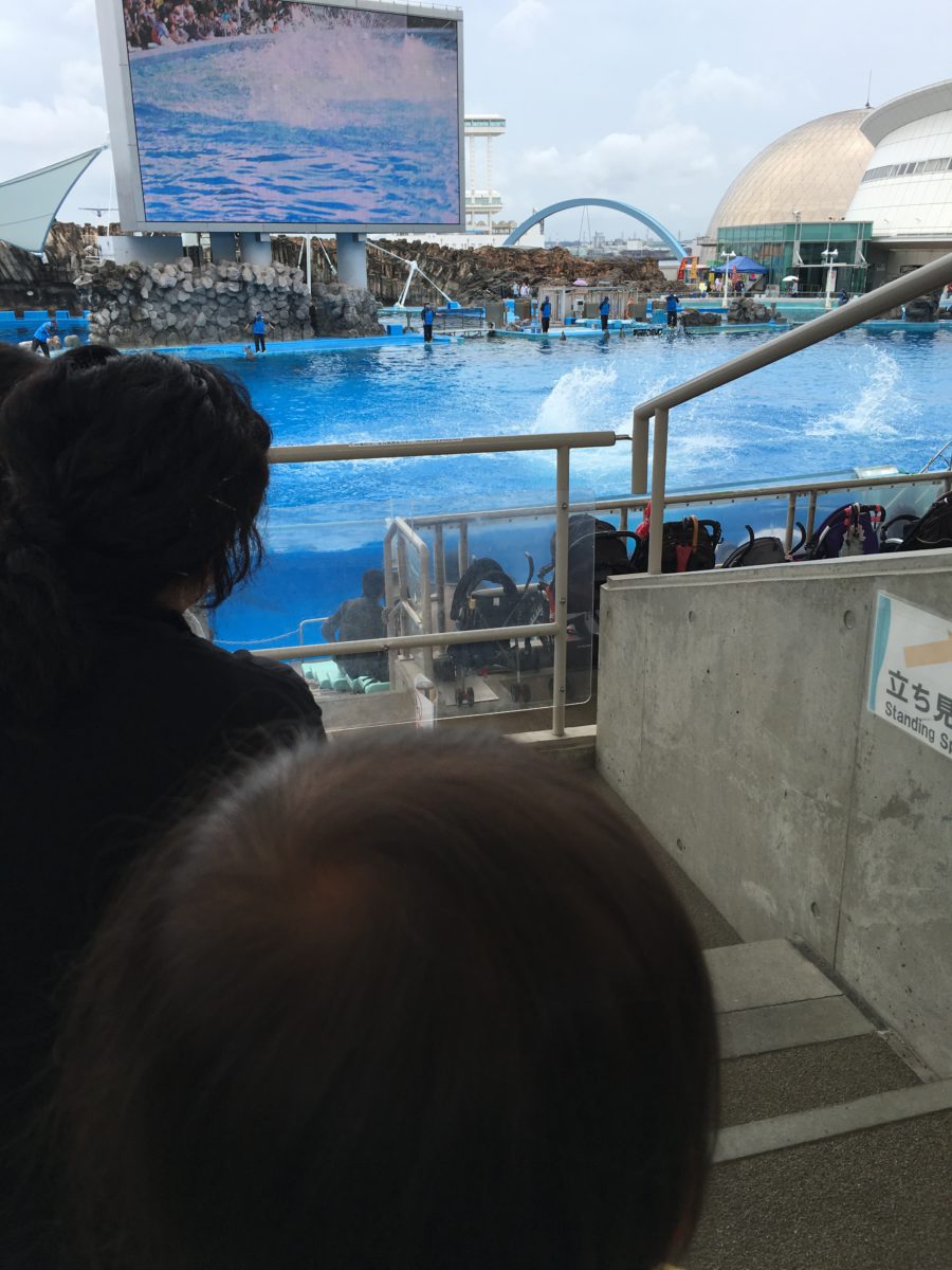 名古屋港水族館