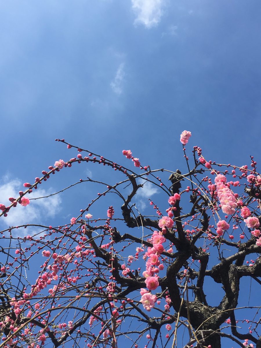 仕事にも活かせる？趣味